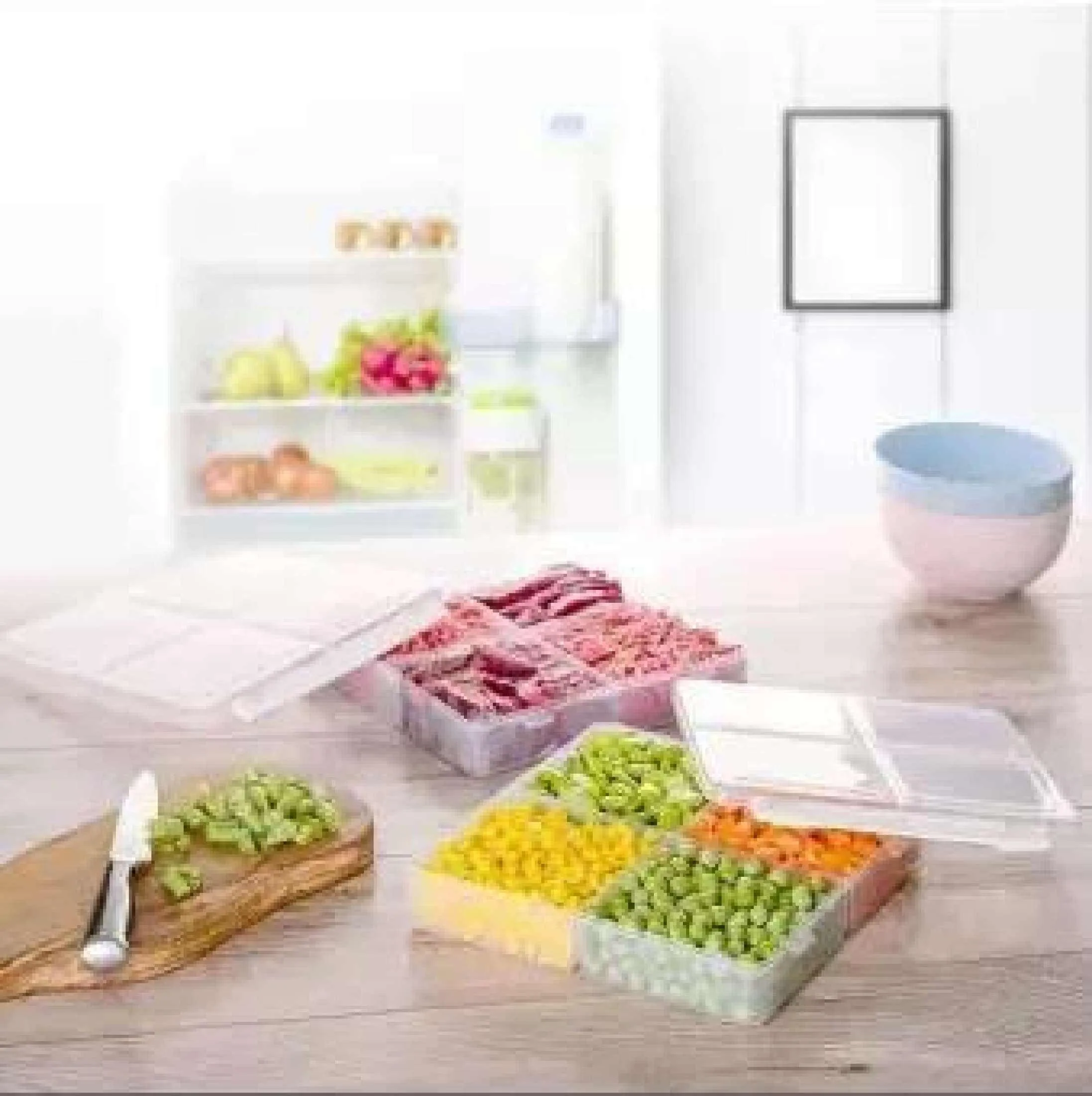 4 Portion Plastic Storage Box Container/Box