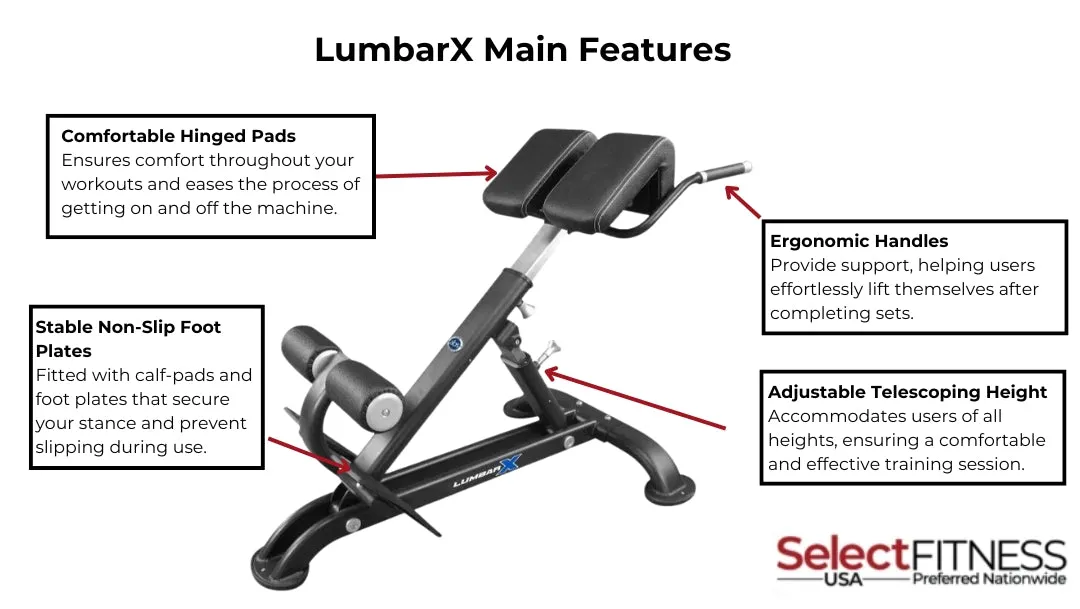 The Abs Company ABS7008B LumbarX Core Trainer