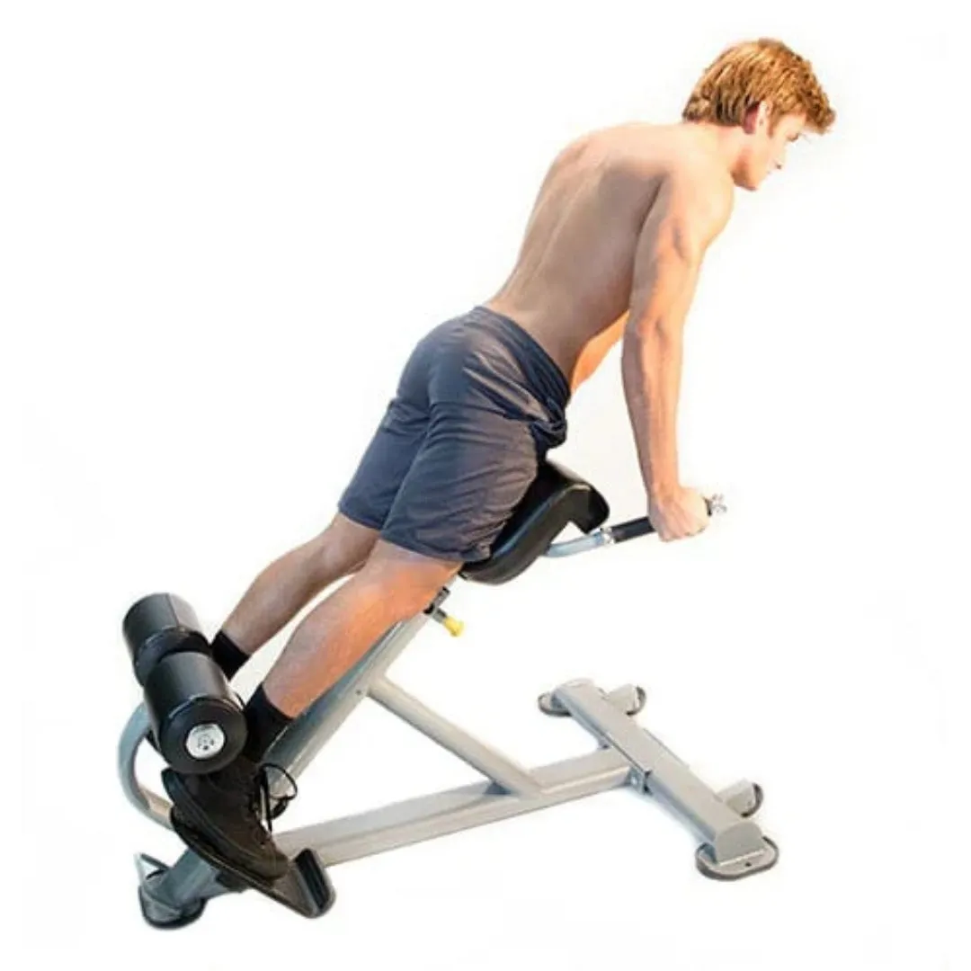 The Abs Company ABS7008B LumbarX Core Trainer