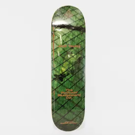 The National Skateboard Co. - 8.125" Josh Young Marius Skateboard Deck - (Medium Concave)